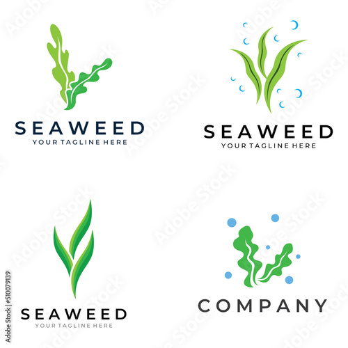 Seaweed logo with template illustration vector design.