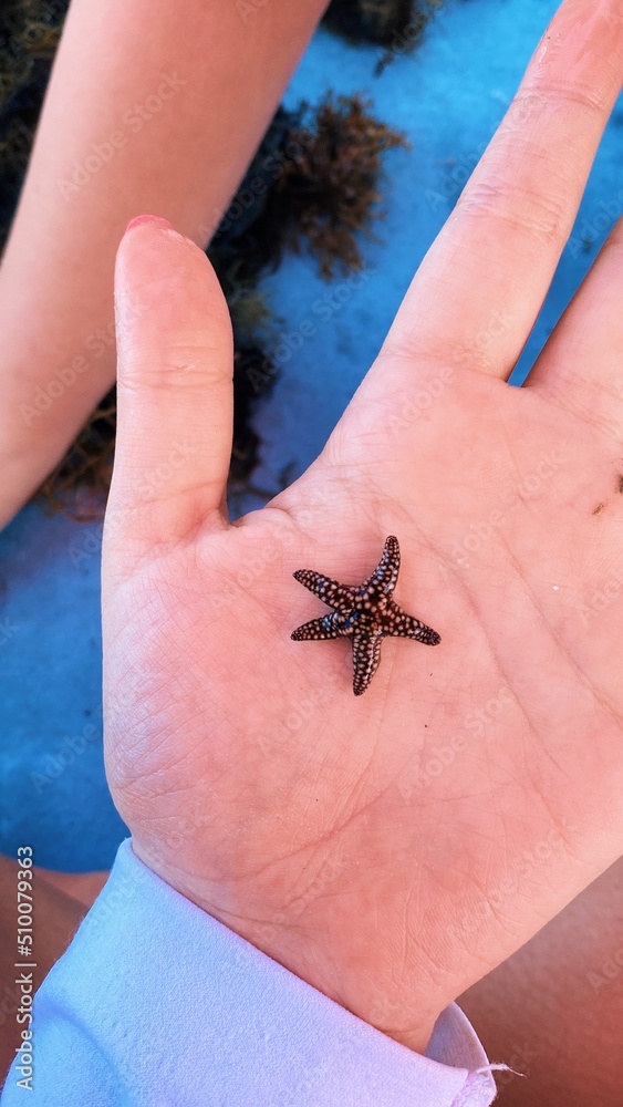 Obraz premium Processed with VSCO with g6 preset