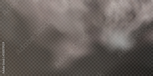Translucent smoke isolated on a transparent background. Steam effect special effect. Vector texture of steam, fog, cloud, smoke.
