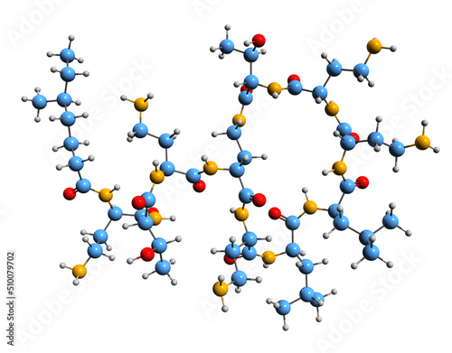  3D image of Colistin skeletal formula - molecular chemical structure of polymyxin E isolated on white background
 photo