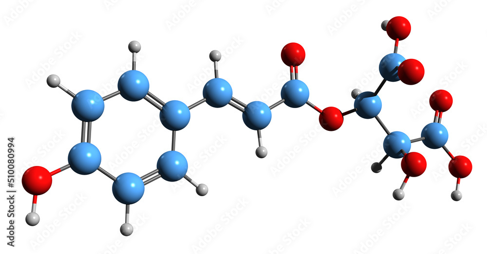 3D image of Coutaric acid skeletal formula - molecular chemical structure of hydroxycinnamoyltartaric acid isolated on white background
3D image of Coutaric acid skeletal formula - molecular chemical structure of hydroxycinnamoyltartaric acid isolated on white background