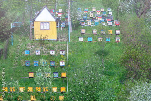 Wooden coloured hives of honeybees lacated on mountains, near old house in village.