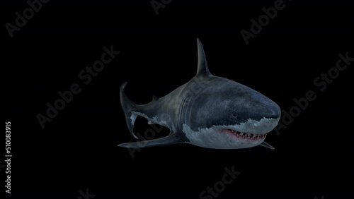 A scary great white shark attacks in front of the camera
Megalodon swimming and open jaws and attack front of the camera with clean alpha footage
3d swimming shark attacking
shark open mouth matte  photo
