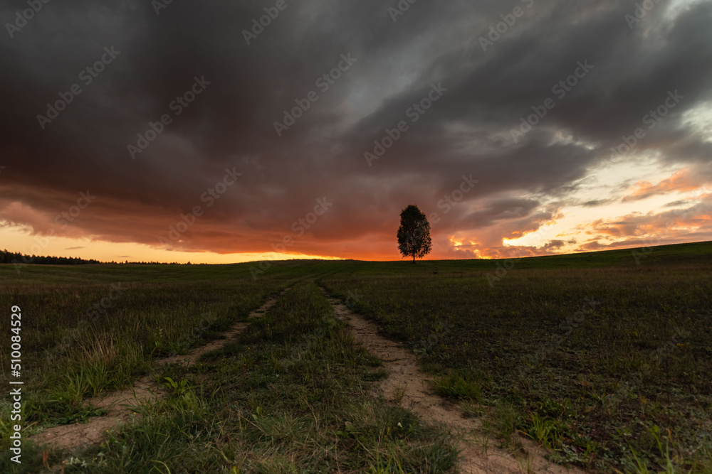 Obraz premium sunset in the field