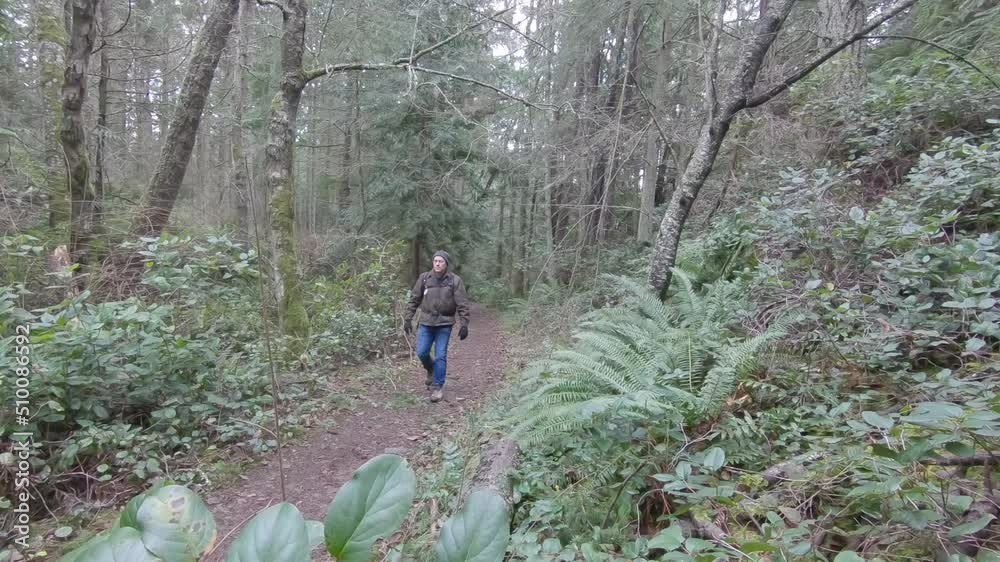 A man hiking through the woods on a gloomy day. A man hiking through the woods on a gloomy day.