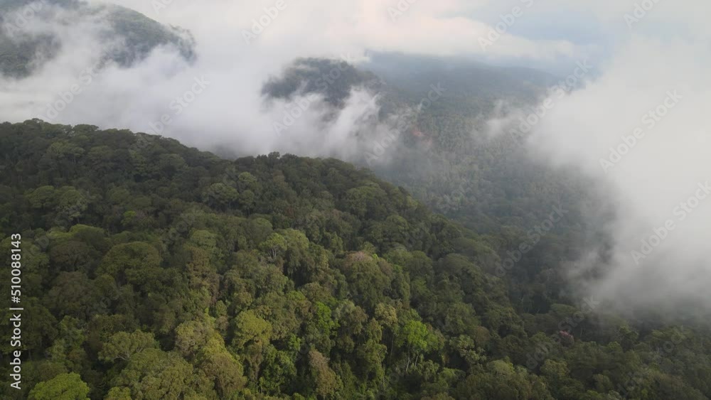 Doi Suthep-Pui National Park, Thailand Doi Suthep-Pui National Park, Thailand
