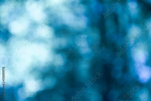 Blurred trees in winter. Blur with bokeh. Backdrop