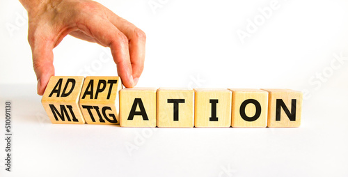 Adaptation or mitigation symbol. Businessman turns cubes and changes the concept word Mitigation to Adaptation. Beautiful white background. Business adaptation or mitigation concept. Copy space. photo