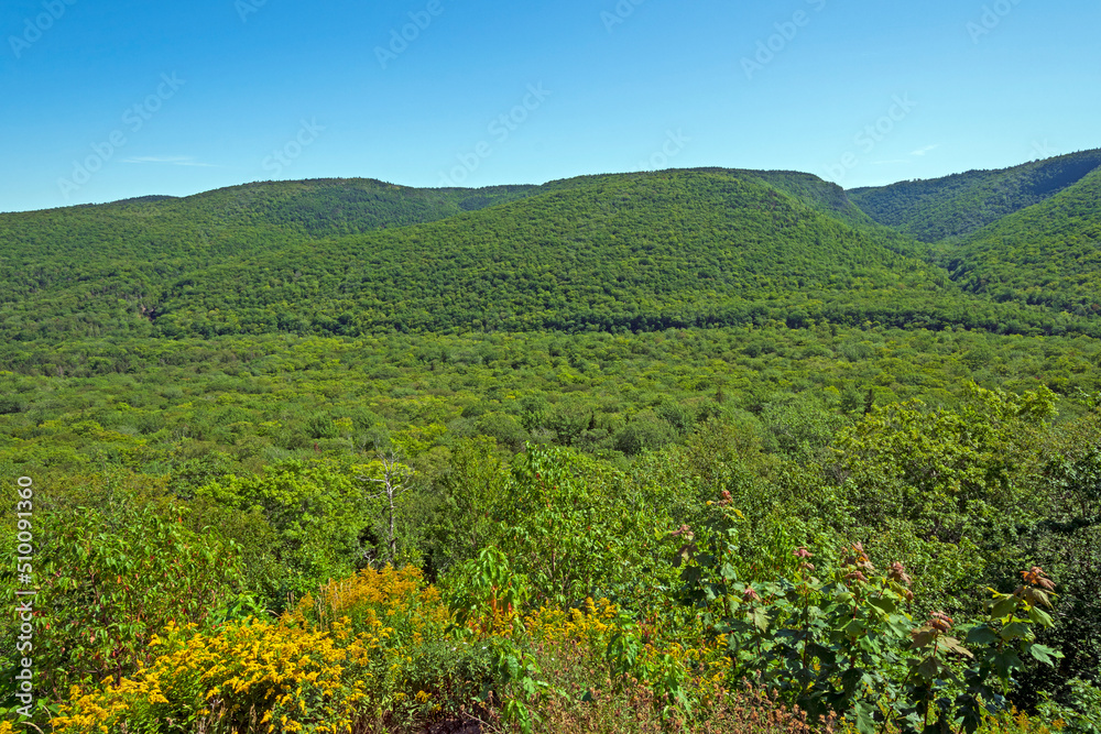 The Green Highlands of Cape Breton in Canada