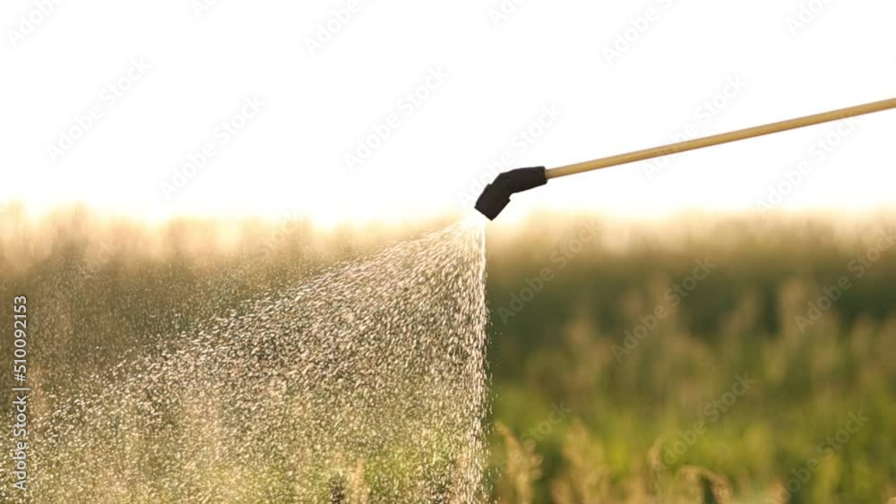Spray ecological pesticide. spraying toxic pesticides, pesticide, insecticides. Farmer sprays potatoes plants to protect them with chemicals from vermin with manually sprayer.
