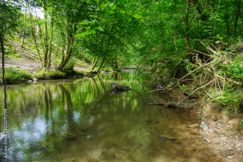 Der Eifgenbach im Wald bei Burscheid 