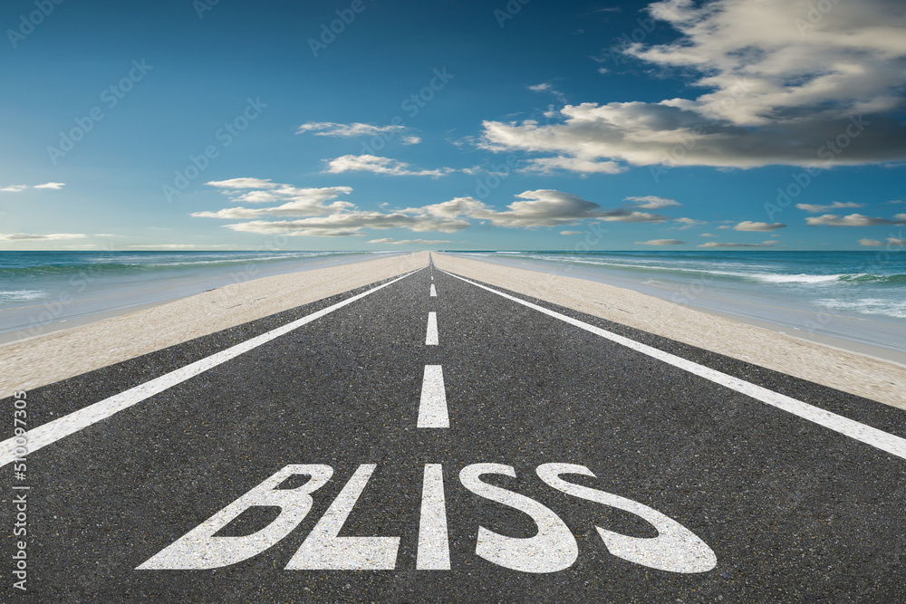 The word Bliss written on a highway in nature at the beach during sunset for happiness concept.