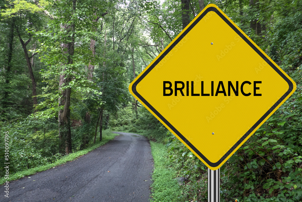 Brilliance road sign next to a path through the woods.