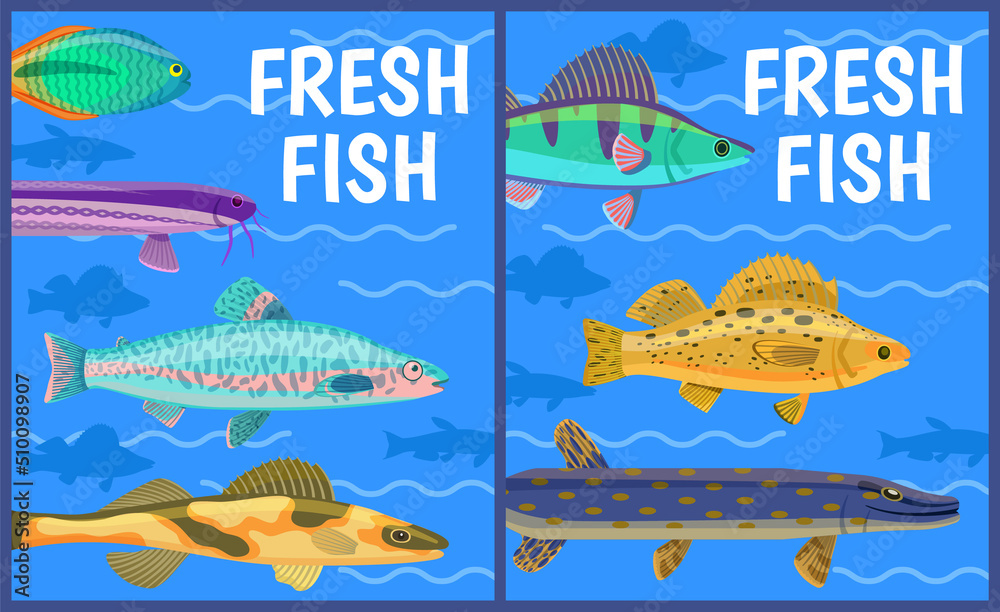 Fresh fish text on cartoon poster of river inhabitant illustration on underwater background. Predatory and spotted pike, perch and zander animal. Fresh fish text on cartoon poster of river inhabitant illustration on underwater background. Predatory and spotted pike, perch and zander animal.