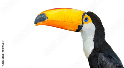 Photorealistic vectorization of the portrait of a colorful Toucan