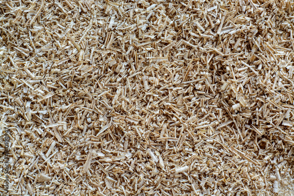 Natural wood sawdust background. Waste wood processing in the workshop. Natural wood sawdust background. Waste wood processing in the workshop.