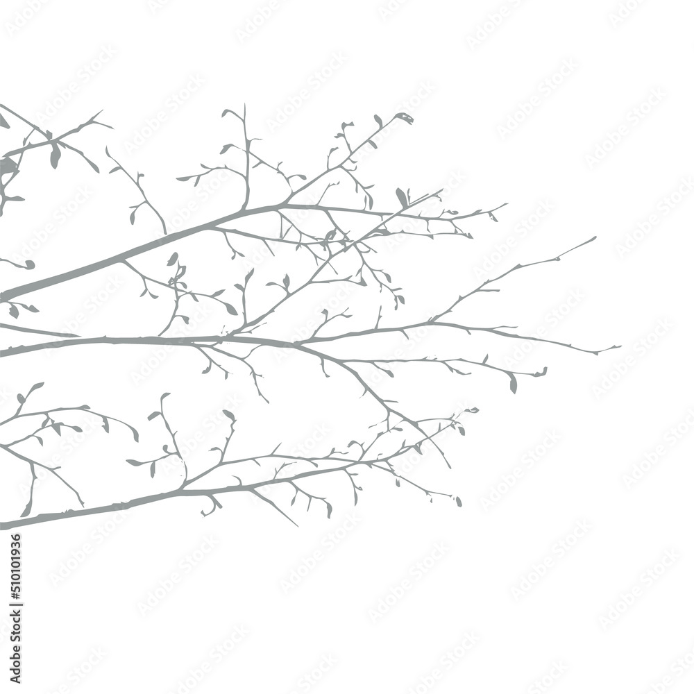 Shadow from vegetation on the wall vector silhouette. Tree branch or bush vector shape