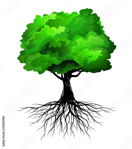 Green Tree with Roots. Vector Illustration. EPS file.