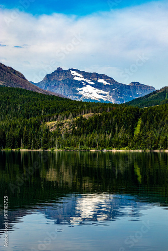 Custer Upper Waterton Lakes Waterton Lakes National Park Alberta Canada