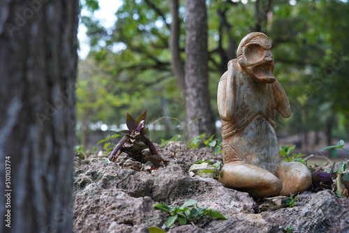 Taino Antique Stone Cemi Idol God Figure standing on rocks on the ground next to a tree, close up. Taino Mythology. photo