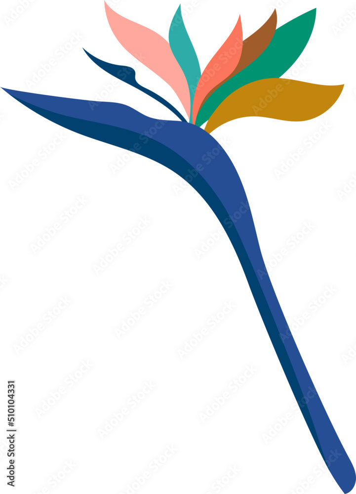 Colorful Exotic Tropical Bird Of Paradise Flower Illustration