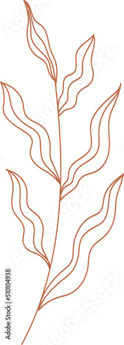 Boho Dry Plant Twig / Tree Branch Illustration