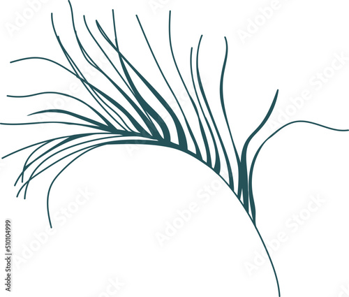 Boho Dry Palm Leaf / Tree Branch Illustration