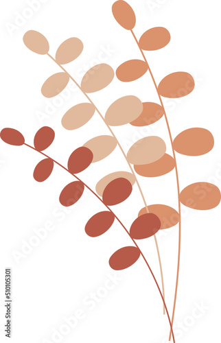 Boho Dry Plant Twig / Tree Branch Illustration