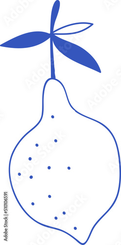 Hand Drawn Blue Lemon / Lime Line Art Illustration