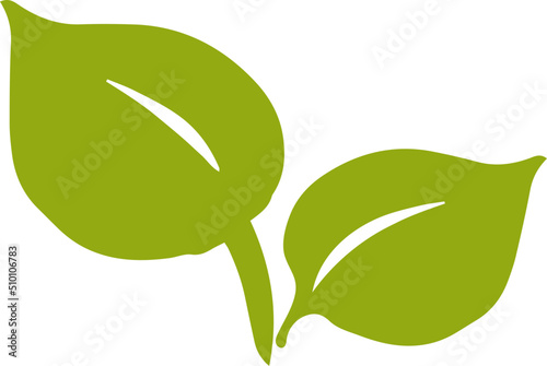 Two Abstract Hand Drawn Leaves Illustration