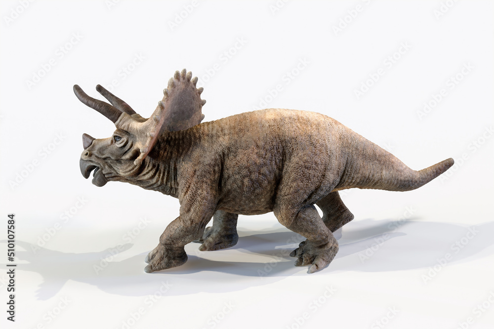 triceratops dinosaur 3d rendering on white background triceratops dinosaur 3d rendering on white background