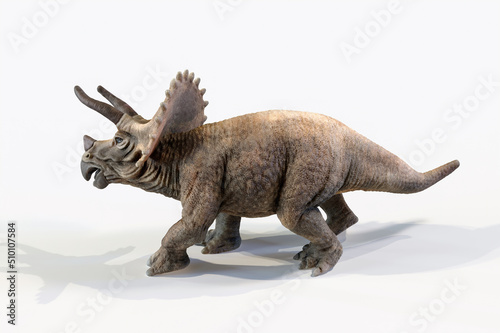 Fototapeta Naklejka Na Ścianę i Meble -  triceratops dinosaur 3d rendering on white background
