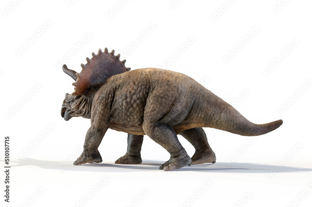 triceratops dinosaur 3d rendering on white background