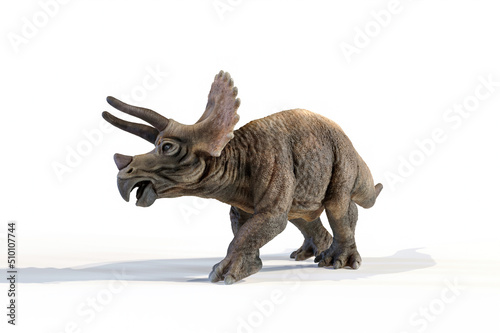 triceratops dinosaur 3d rendering on white background