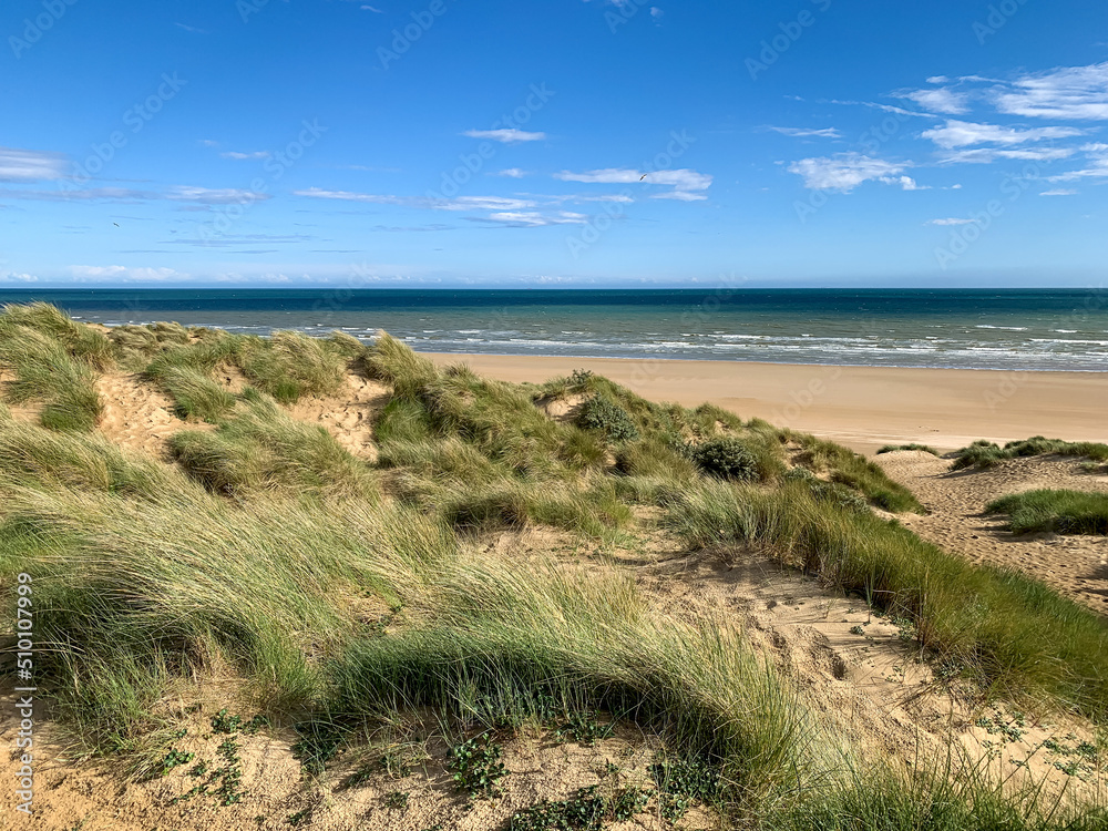 Sand dunes and sea grass tussocks. Summer in England. Creative photograph of sand dunes against a blue sky with clouds. Camber Sands, East Sussex along English Channel.