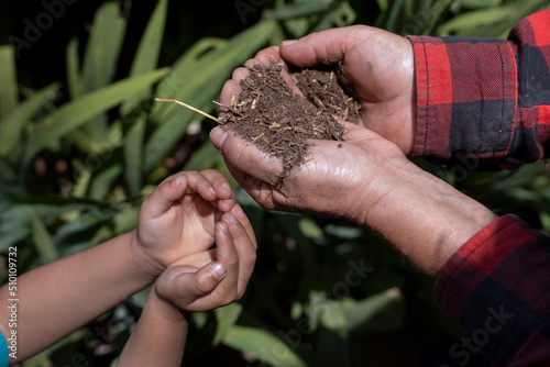 Hands of elderly woman and unrecognizable Latin American child holding in composted soil. Concept Gardening, retired, hobbies and leisure.
