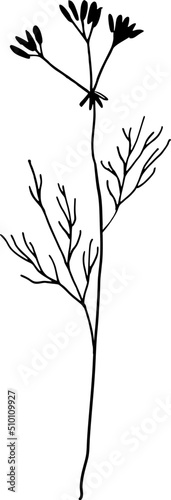 Black Basil Herb Silhouette Illustration