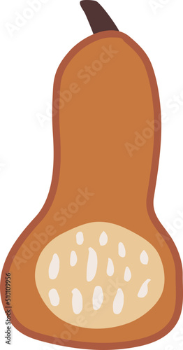 Dark Orange Muscat Pumpkin Illustration