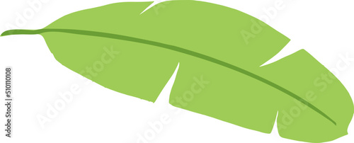 Green Banana Leaf Illustration