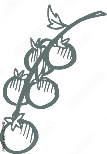 Green Tomatoes Doodle Illustration