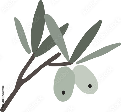 Olive Tree Branch Illustration
