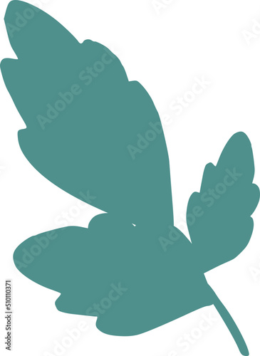 Green Parsley Leaf Illustration