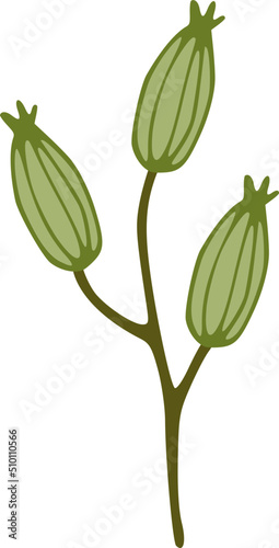Green Seeds Branch Illustration