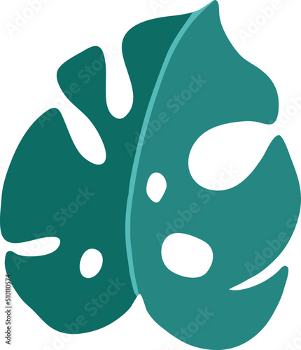 Dark Green Monstera Leaf Illustration