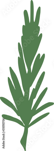 Green Rosemary Branch Illustration