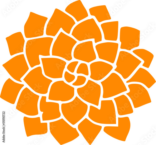 Orange Dahlia Flower Illustration