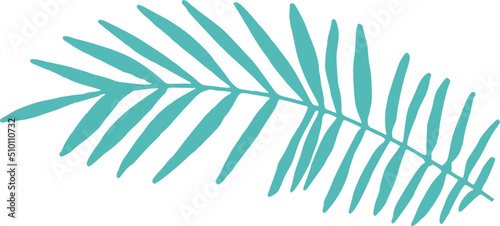 Dark Green Palm Leaf Illustration