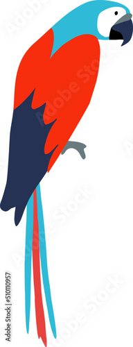 Red Ara Parrot Bird Illustration