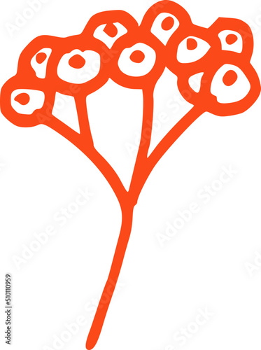 Red Line Rowan Berries Fruit Illustration
