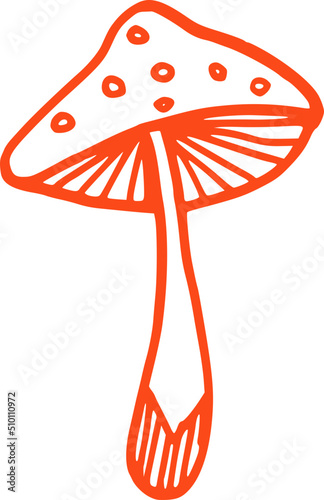 Red Line Amanita Mushroom Illustration